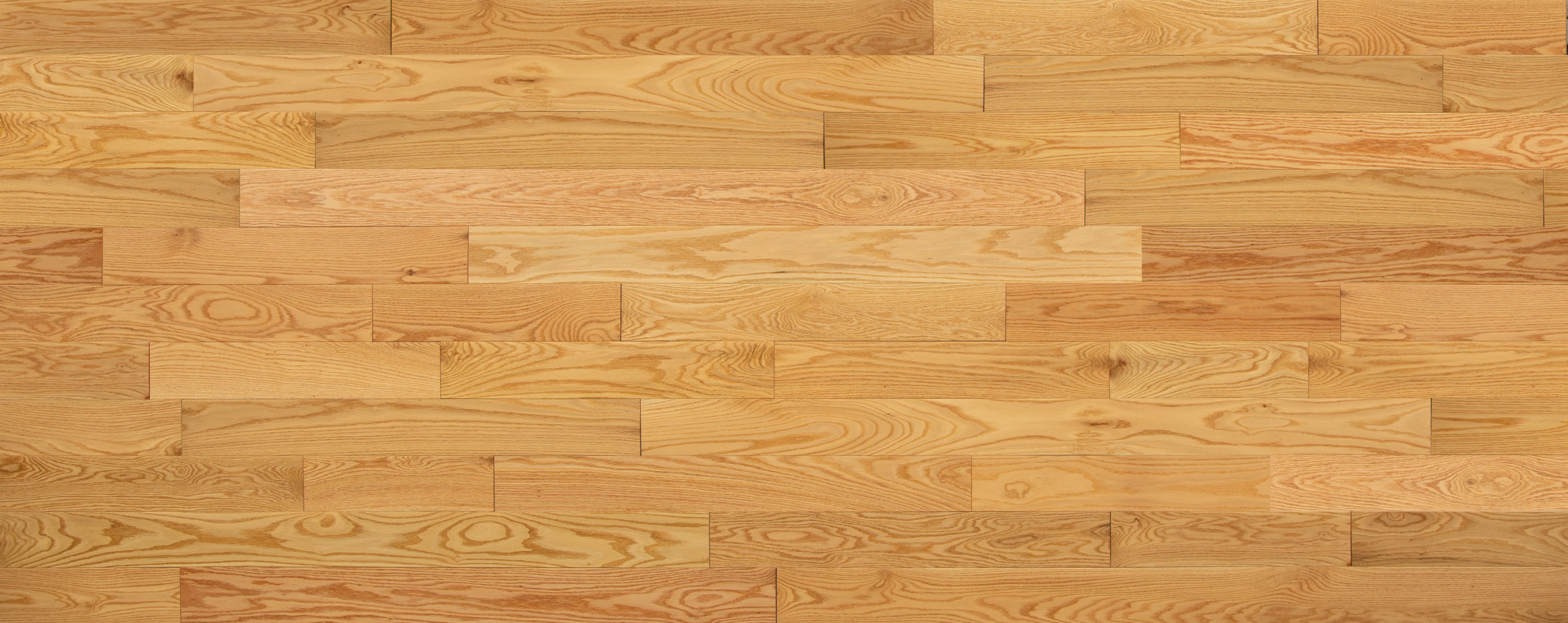 3/4 in. Red Oak Select Solid Hardwood - Sample - Image 3